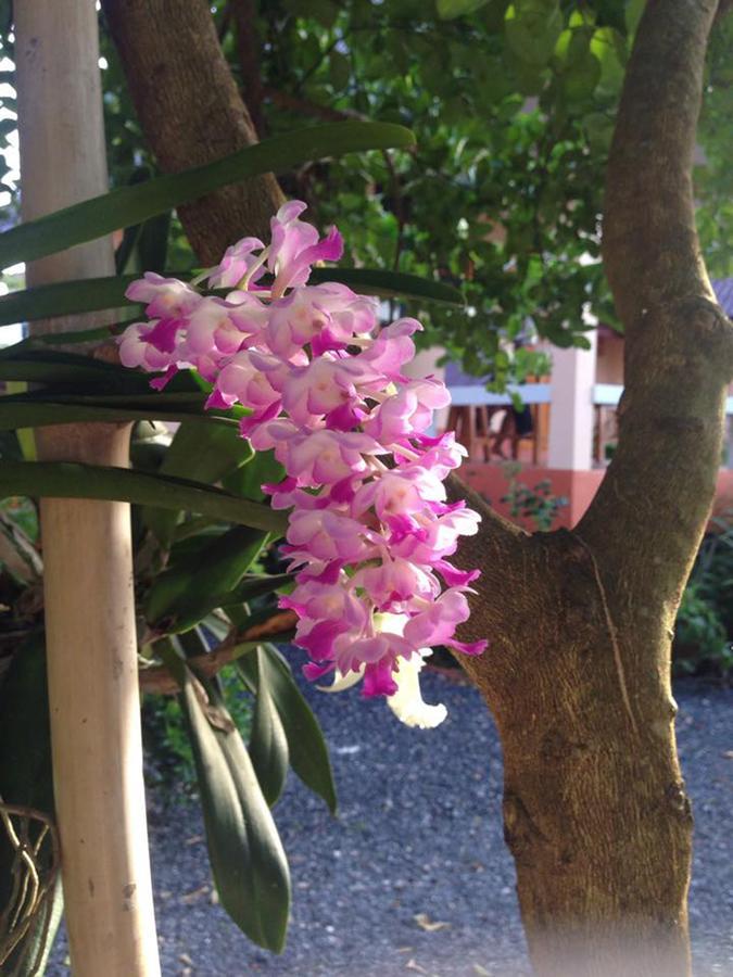 川春度假酒店 帕他仑 外观 照片